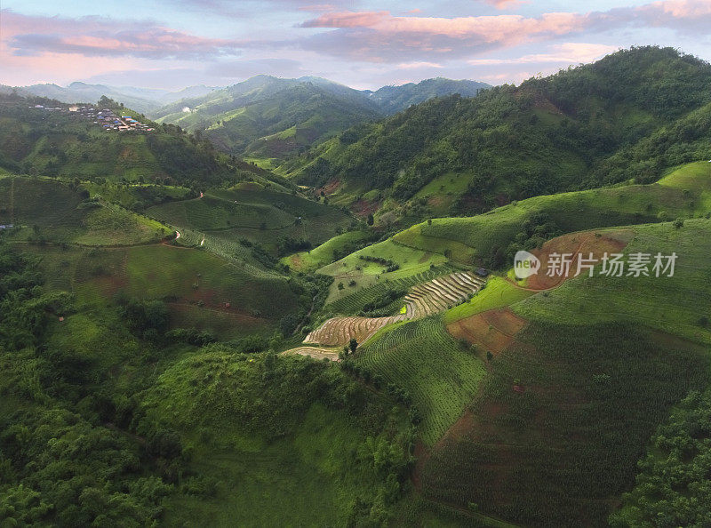 无人机拍摄(鸟瞰图)上午在泰国清莱的Doi Mae Salong茶园景观